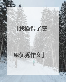 我懂得了感恩优秀作文