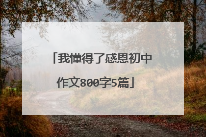 我懂得了感恩初中作文800字5篇