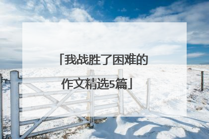 我战胜了困难的作文精选5篇