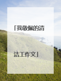 我敬佩的清洁工作文