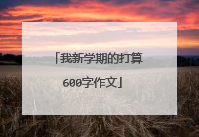 我新学期的打算600字作文