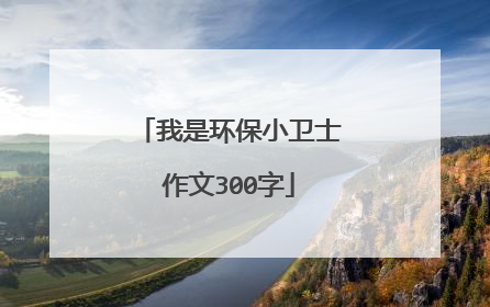 我是环保小卫士作文300字