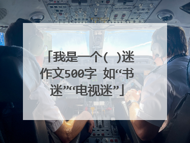 我是一个( )迷 作文500字 如“书迷”“电视迷”