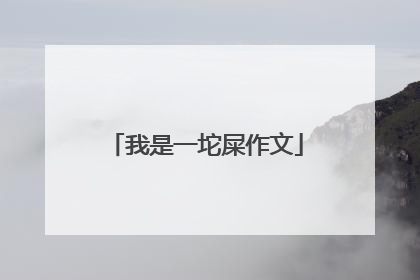 我是一坨屎作文