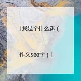 我是个什么迷（作文500字）