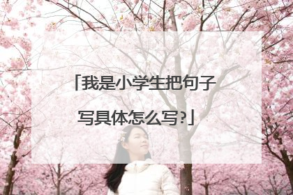 我是小学生把句子写具体怎么写?