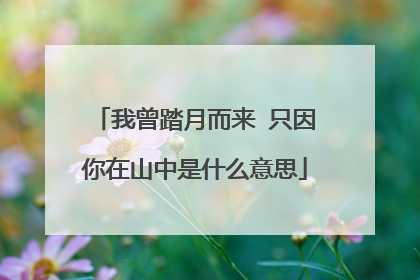 我曾踏月而来 只因你在山中是什么意思