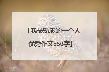 我最熟悉的一个人优秀作文350字
