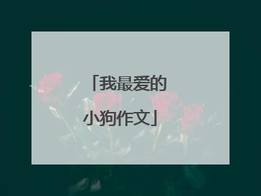 我最爱的小狗作文
