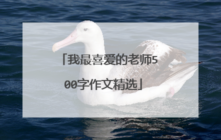我最喜爱的老师500字作文精选