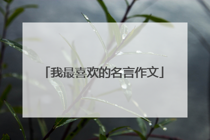 我最喜欢的名言作文
