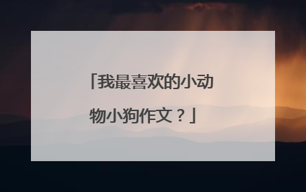 我最喜欢的小动物小狗作文？