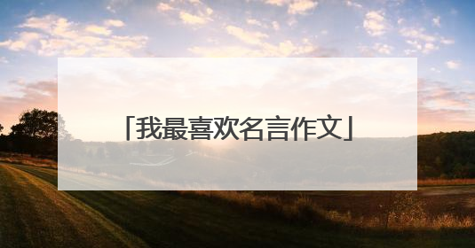 我最喜欢名言作文