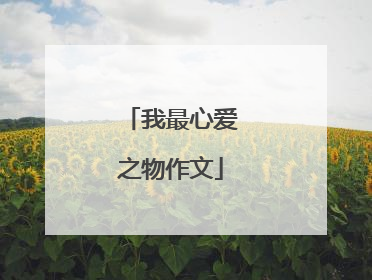 我最心爱之物作文