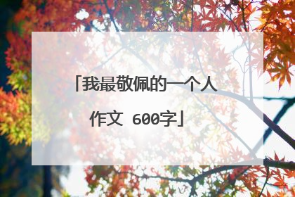 我最敬佩的一个人作文 600字