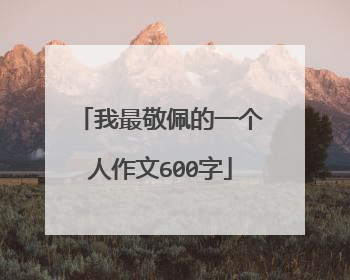 我最敬佩的一个人作文600字