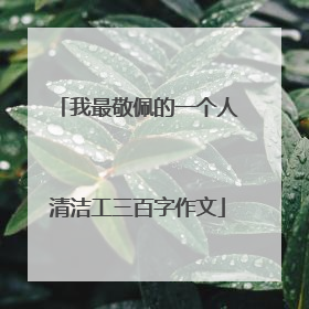 我最敬佩的一个人清洁工三百字作文