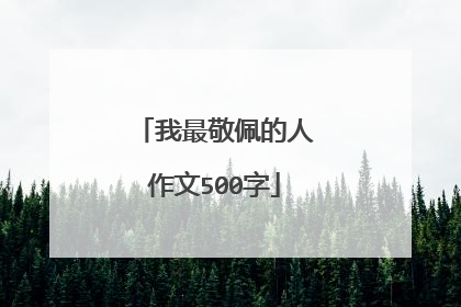 我最敬佩的人作文500字