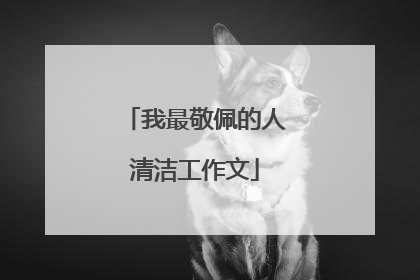 我最敬佩的人清洁工作文