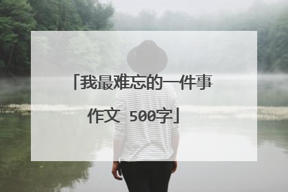 我最难忘的一件事作文 500字