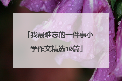我最难忘的一件事小学作文精选10篇