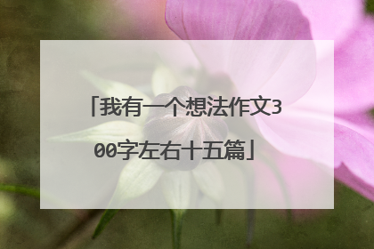 我有一个想法作文300字左右十五篇