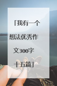 我有一个想法优秀作文300字十五篇