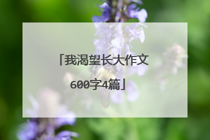 我渴望长大作文600字4篇