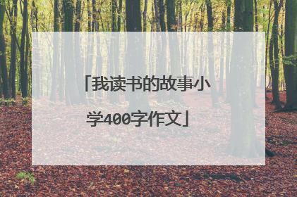 我读书的故事小学400字作文