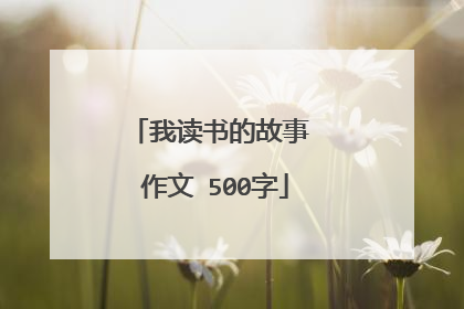 我读书的故事 作文 500字
