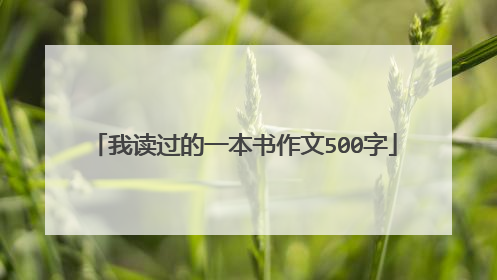 我读过的一本书作文500字