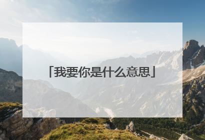 我要你是什么意思