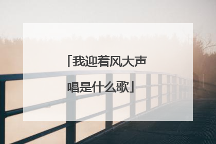 我迎着风大声唱是什么歌