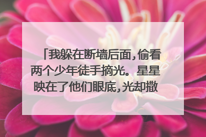 我躲在断墙后面,偷看两个少年徒手摘光。星星映在了他们眼底,光却撒在了我的身上。语文功底不好不太理解?
