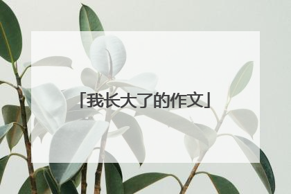 我长大了的作文