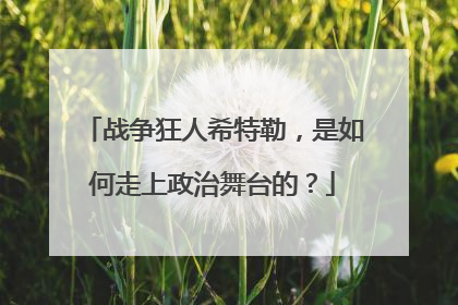 战争狂人希特勒,是如何走上政治舞台的?