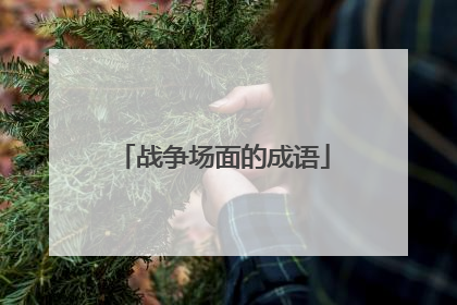 战争场面的成语