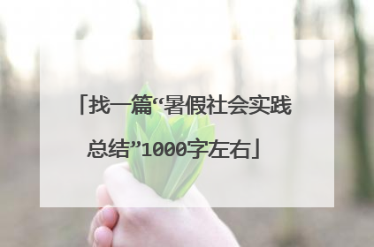 找一篇“暑假社会实践总结”1000字左右