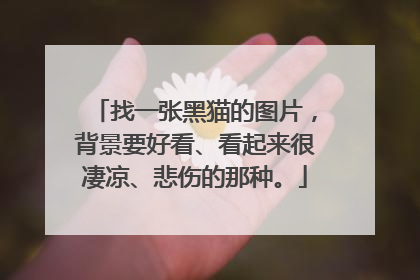 找一张黑猫的图片，背景要好看、看起来很凄凉、悲伤的那种。