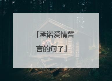 承诺爱情誓言的句子