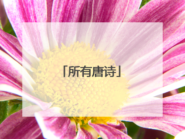 所有唐诗