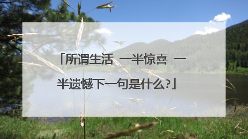 所谓生活 一半惊喜 一半遗憾下一句是什么?