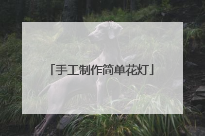 手工制作简单花灯