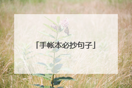 手帐本必抄句子