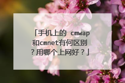 手机上的 cmwap 和cmnet有何区别？用哪个上网好？