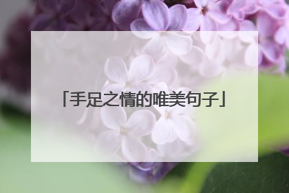 手足之情的唯美句子