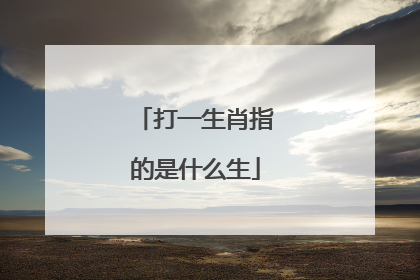 打一生肖指的是什么生