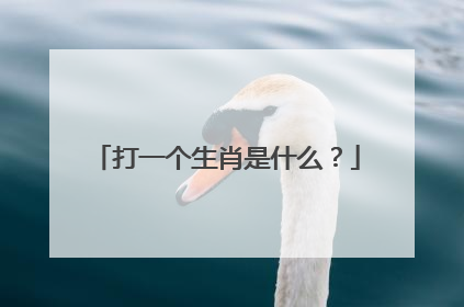 打一个生肖是什么？