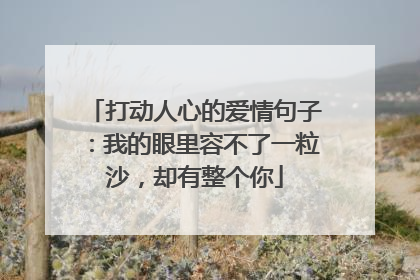 打动人心的爱情句子:我的眼里容不了一粒沙,却有整个你