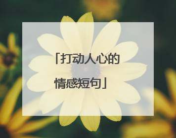 打动人心的情感短句